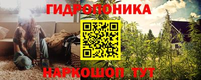 шишки Малоярославец