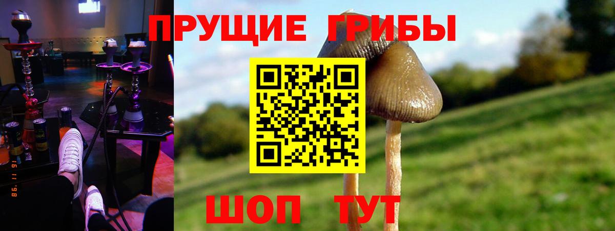 Галлюциногенные грибы Cubensis Светлоград